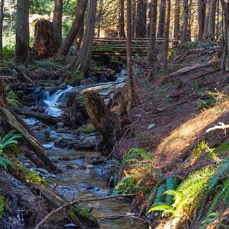 Forest Haven Hideaway Roberts Creek Kültér fotó