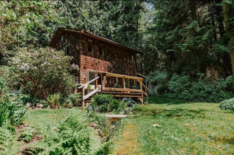 Forest Haven Hideaway Roberts Creek Kültér fotó