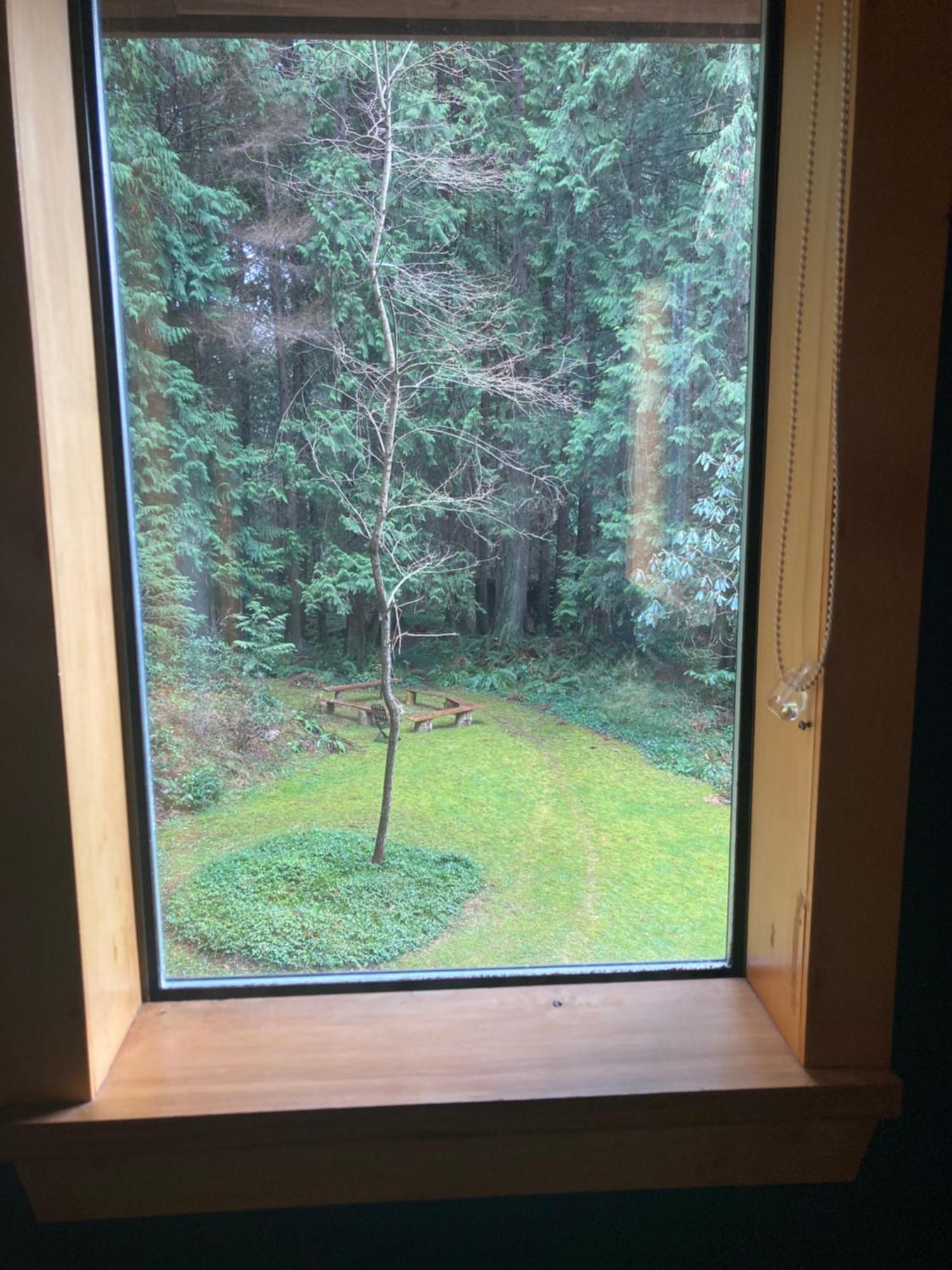 Forest Haven Hideaway Roberts Creek Kültér fotó